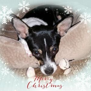 Meet your Posher, Cassie